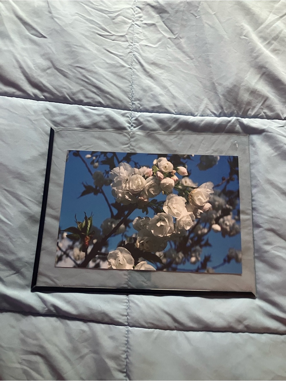 Spring Flower Print
